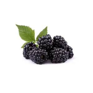MORA AL VACIO 800GR