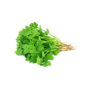 CILANTRO X KG